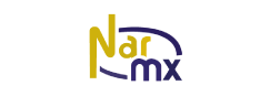 Construcciones industriales - Constructora Insur - Cliente NARMX